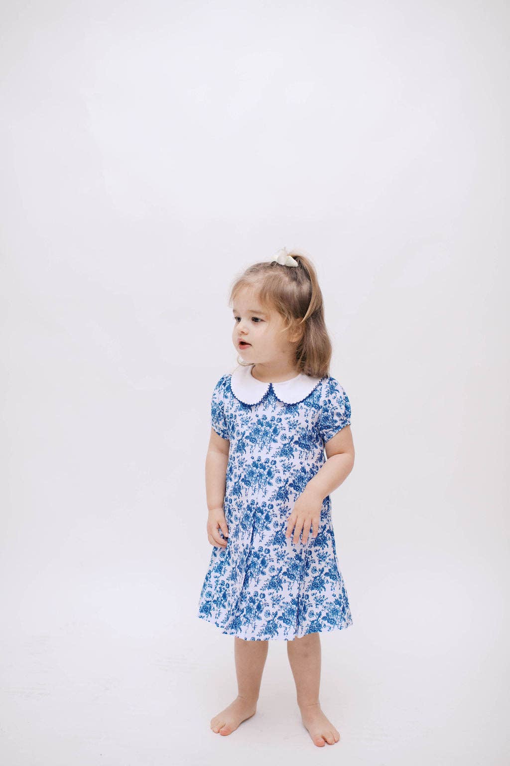 The Bailey Girl Blue Toile Dress
